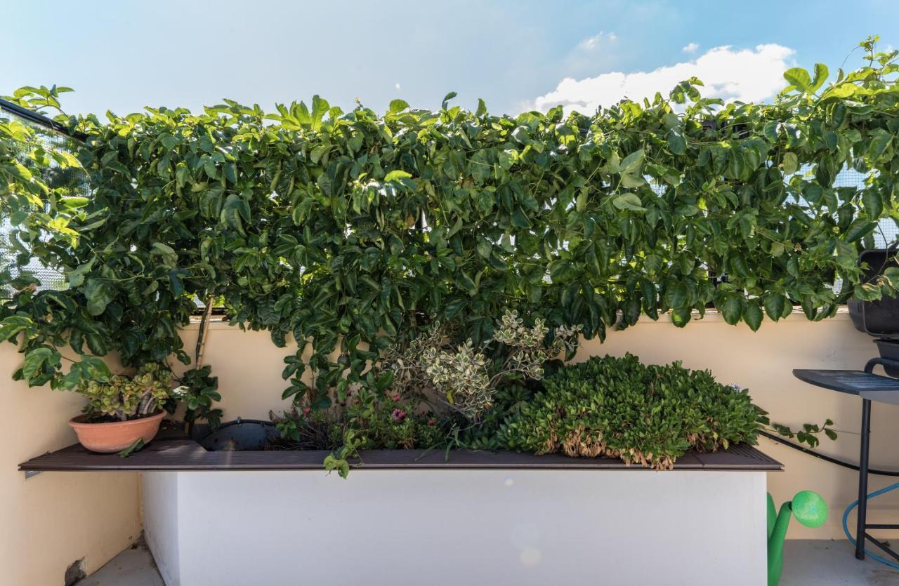 Casa Colibri - Solemar Sicilia Apartment Santa Flavia Exterior photo